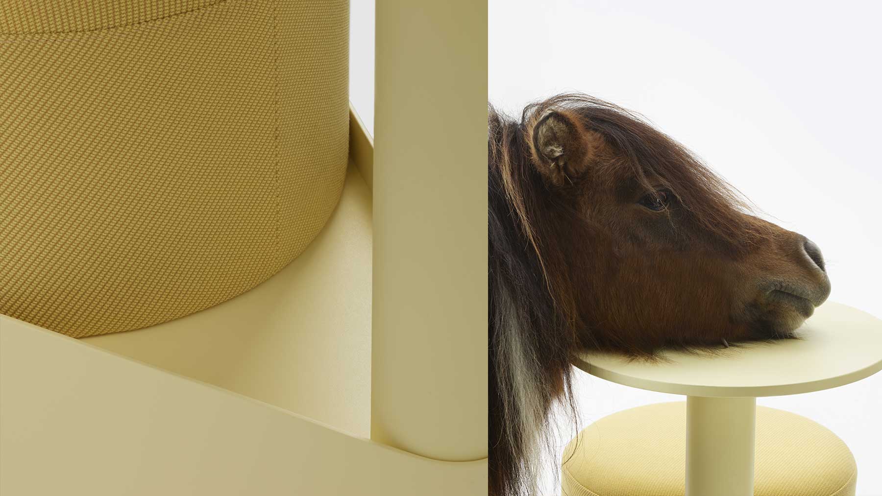 gumpo pony